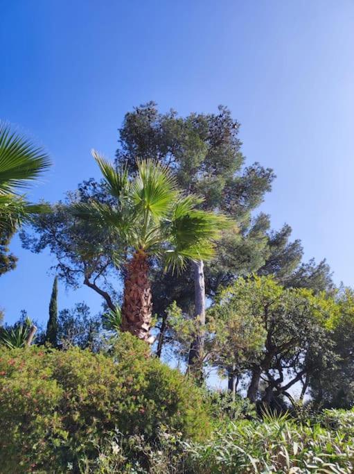 ガイヤック La Californienneヴィラ エクステリア 写真